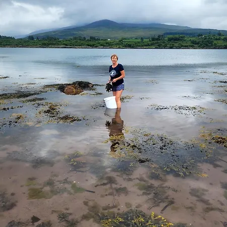 An Nead V93yr65 * Kenmare