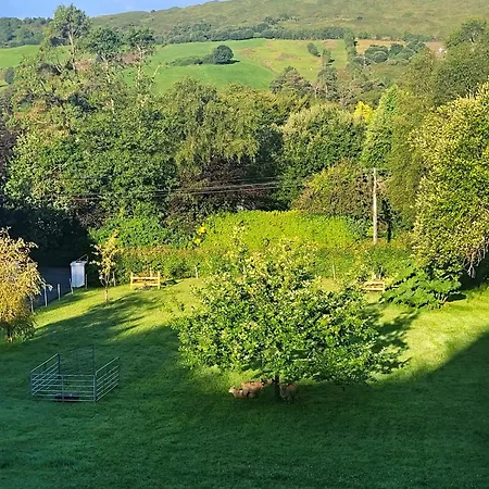 An Nead V93yr65 * Kenmare