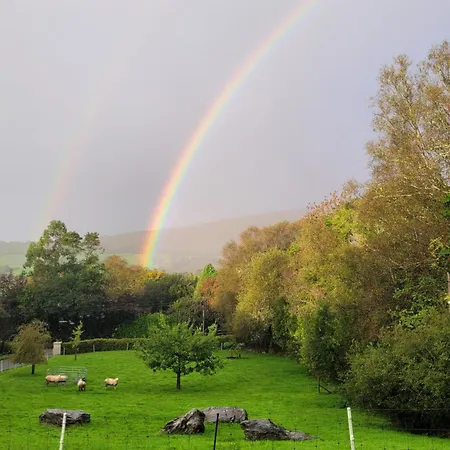 An Nead V93yr65 * Kenmare