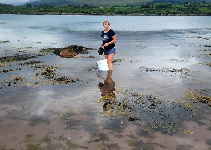 An Nead V93yr65 * Kenmare