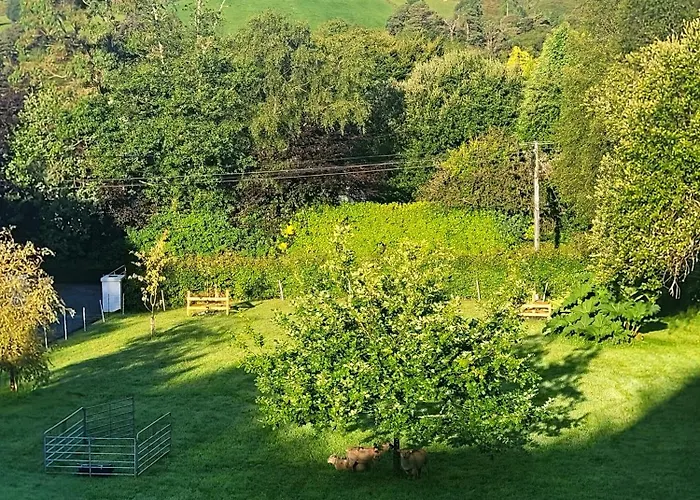 An Nead V93yr65 * Kenmare