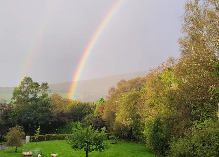 An Nead V93yr65 * Kenmare